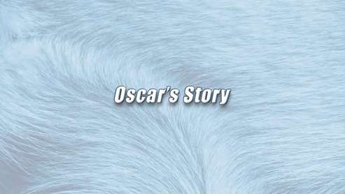 Oscar | K9 Story